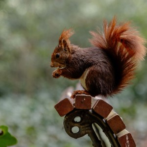 3 Campo Grande marzo 2026 1-08032026-9P3A3548